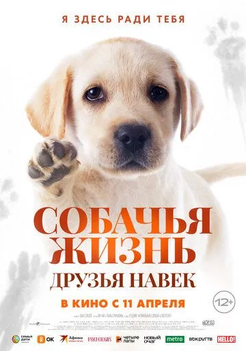 Собачья жизнь: Друзья навек фильм